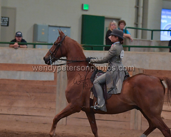 025_2055-Do_not_copy_PROOF