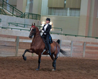 25 Saddle Seat Equitation 17 & Under