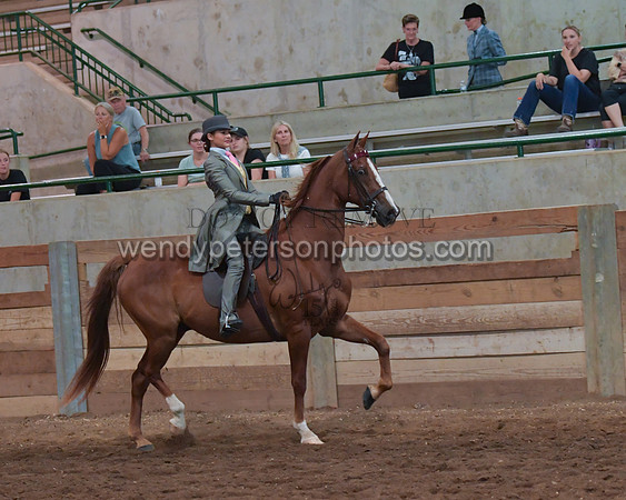 025_2060-Do_not_copy_PROOF