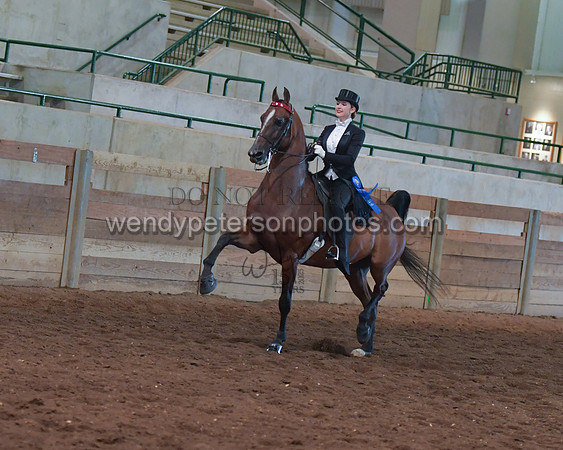 025_2080-Do_not_copy_PROOF