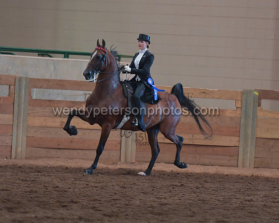 025_2074-Do_not_copy_PROOF