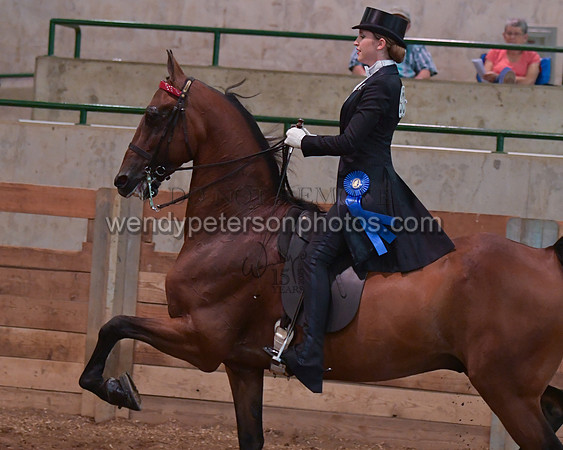 025_2084-Do_not_copy_PROOF