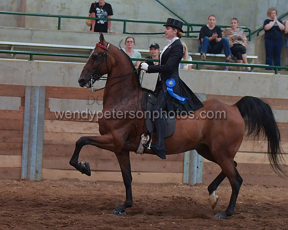 025_2083-Do_not_copy_PROOF