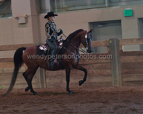 024_2014-Do_not_copy_PROOF