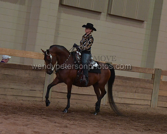 024_2013-Do_not_copy_PROOF