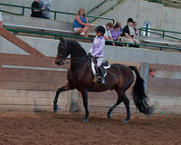 023 Morgan Hunter Pleasure Junior Exhibitor 13 & Under