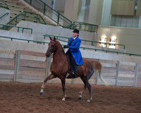 019 Saddlebred Country Pleasure