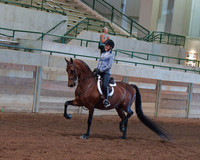 017 Morgan Hunter Pleasure Junior Exhibitor 14-17