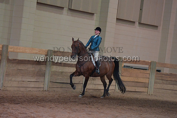 012_1793-Do_not_copy_PROOF