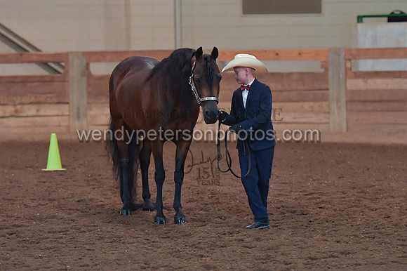 010_1703-Do_not_copy_PROOF
