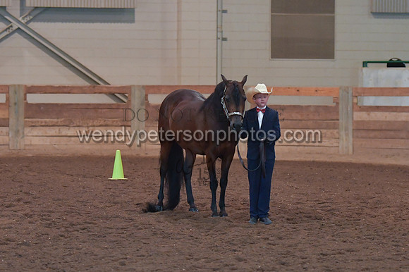 010_1705-Do_not_copy_PROOF