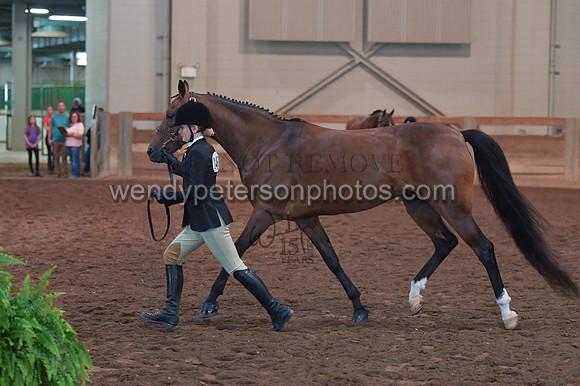 010_1726-Do_not_copy_PROOF