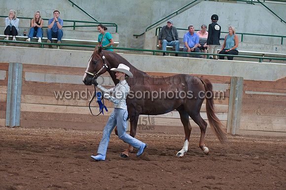 010_1755-Do_not_copy_PROOF