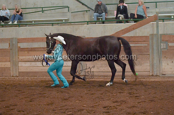 009_1678-Do_not_copy_PROOF