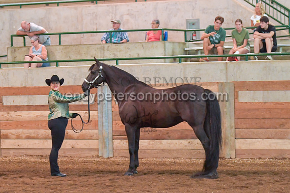 006_1585-Do_not_copy_PROOF