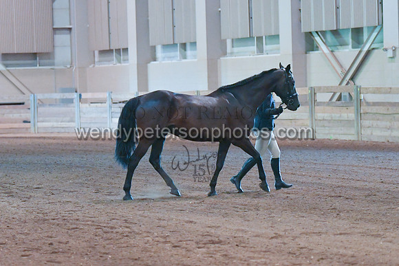 001_1495-Do_not_copy_PROOF