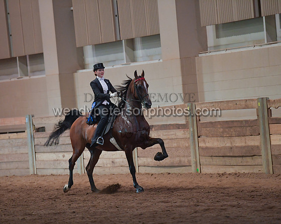 089_4010-Do_not_copy_PROOF