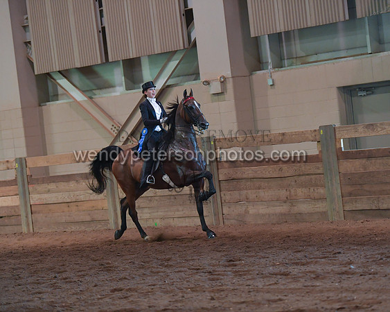 089_4012-Do_not_copy_PROOF
