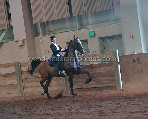 089_4013-Do_not_copy_PROOF