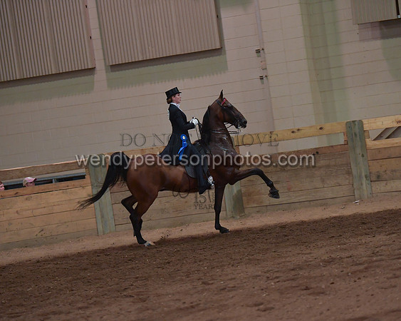 089_4015-Do_not_copy_PROOF