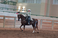 085 Morgan Western Pleasure Limit Horse