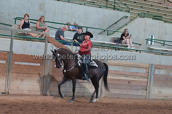 085_3932-Do_not_copy_PROOF