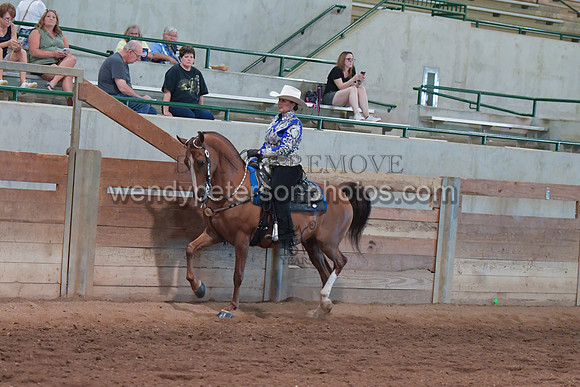 085_3935-Do_not_copy_PROOF