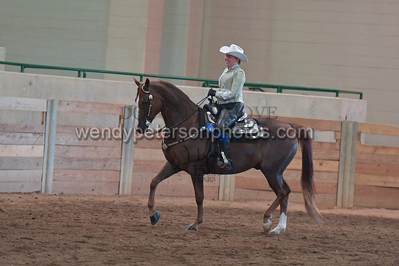 085_3960-Do_not_copy_PROOF