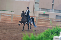 082 Morgan English Pleasure Junior Exhibitor 17 & Under