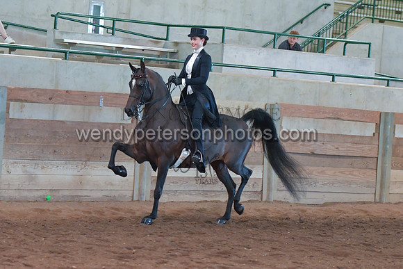 082_3860-Do_not_copy_PROOF