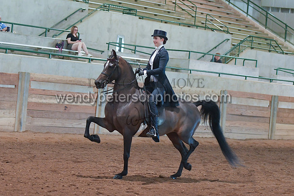 082_3855-Do_not_copy_PROOF
