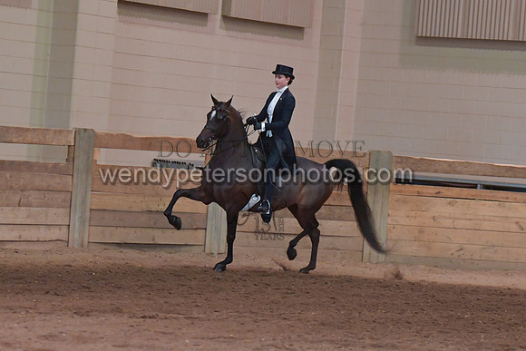 082_3862-Do_not_copy_PROOF