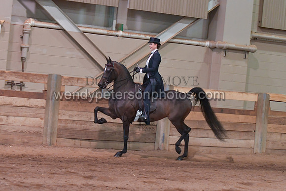 082_3864-Do_not_copy_PROOF