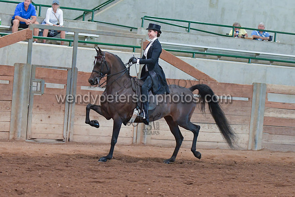 082_3861-Do_not_copy_PROOF