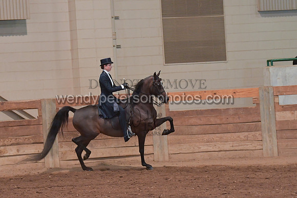 082_3869-Do_not_copy_PROOF