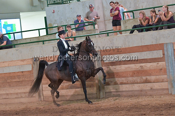 082_3871-Do_not_copy_PROOF