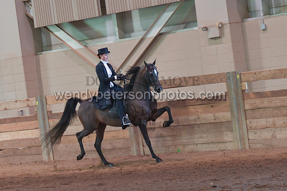 082_3875-Do_not_copy_PROOF