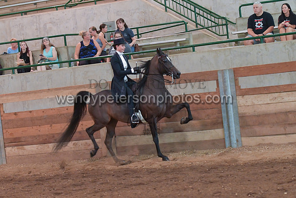 082_3872-Do_not_copy_PROOF