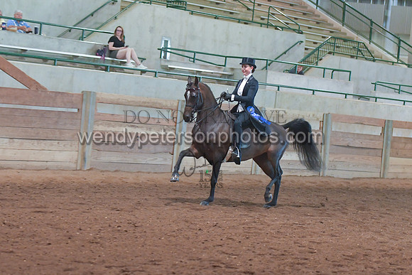 082_3887-Do_not_copy_PROOF