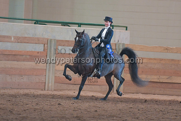 082_3884-Do_not_copy_PROOF