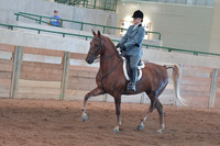 084 Saddlebred Country Hunter Pleasure Championship