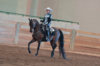 078 Morgan Western Pleasure Amateur Masters