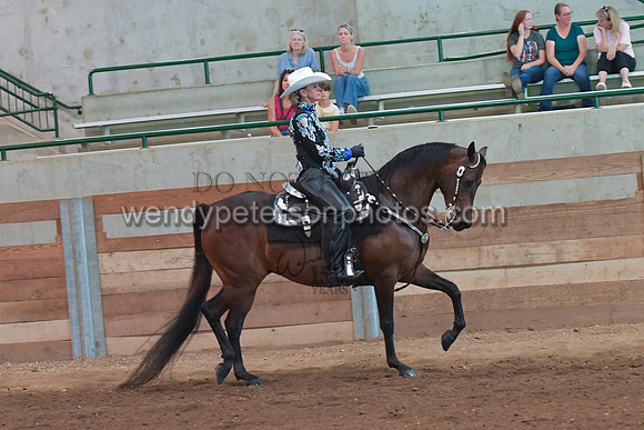 078_3804-Do_not_copy_PROOF