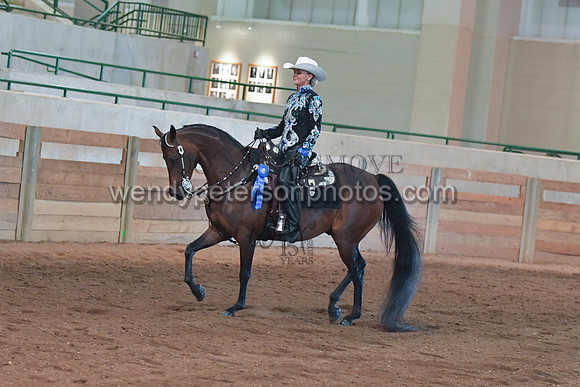078_3810-Do_not_copy_PROOF