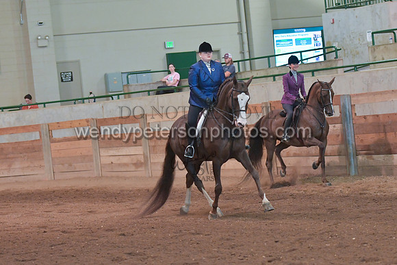 075_3783-Do_not_copy_PROOF