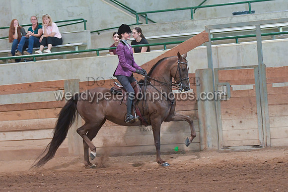 075_3785-Do_not_copy_PROOF