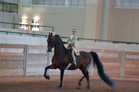 064 Hunt Seat Equitation Walk-Trot 11 & Under