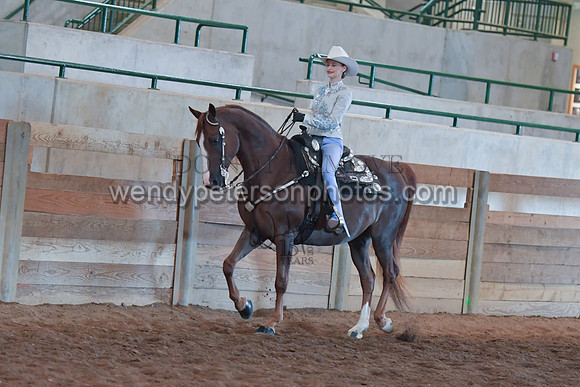 067_2950-Do_not_copy_PROOF