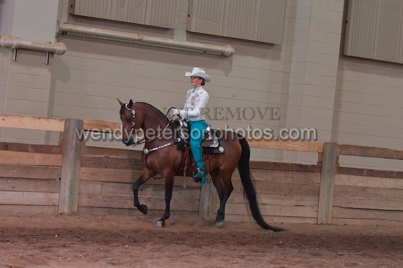 067_2954-Do_not_copy_PROOF
