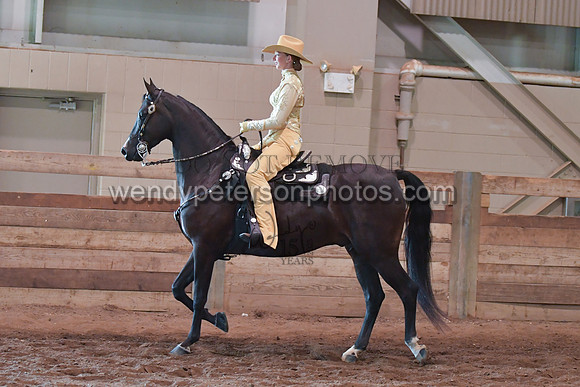 067_2958-Do_not_copy_PROOF